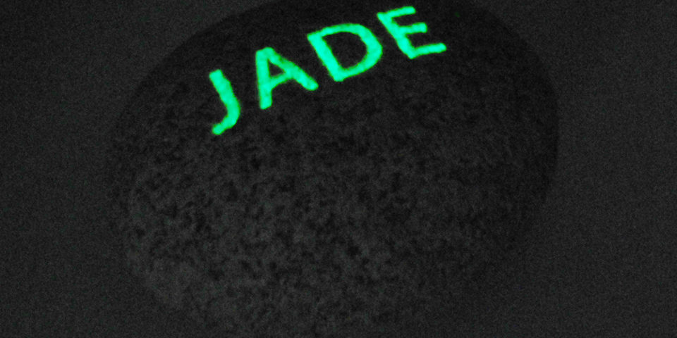 GALET  JADE !