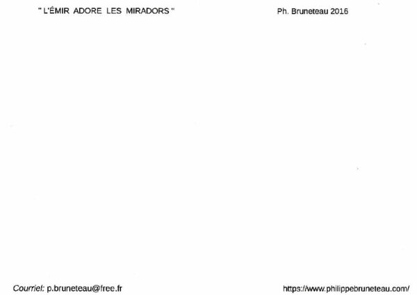 L'EMIR ADORE LES MIRADORS – Image 2