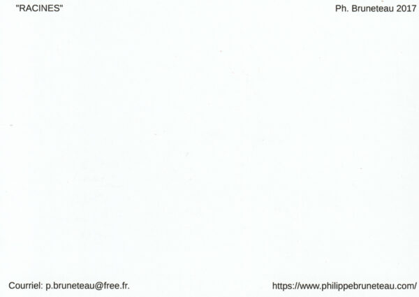 RACINES – Image 3